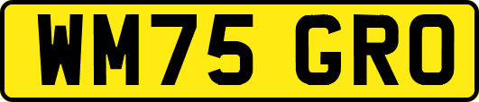 WM75GRO
