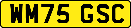 WM75GSC