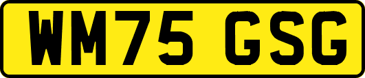 WM75GSG