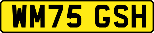 WM75GSH