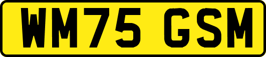 WM75GSM