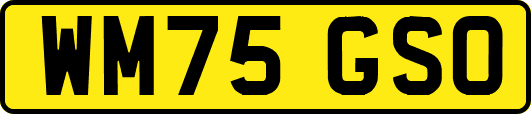 WM75GSO