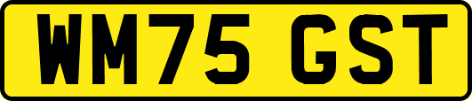 WM75GST