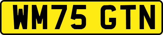 WM75GTN