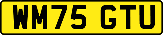 WM75GTU