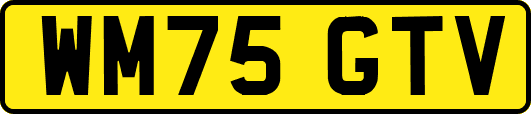 WM75GTV