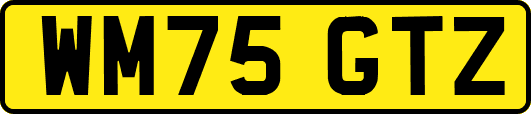 WM75GTZ