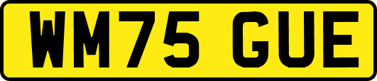 WM75GUE