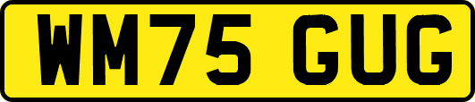 WM75GUG