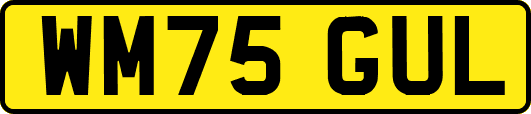 WM75GUL