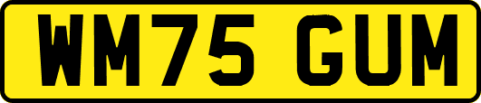 WM75GUM