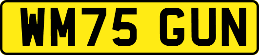 WM75GUN