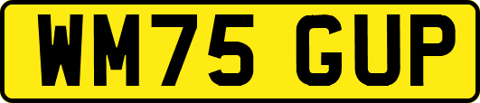 WM75GUP