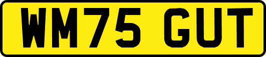 WM75GUT