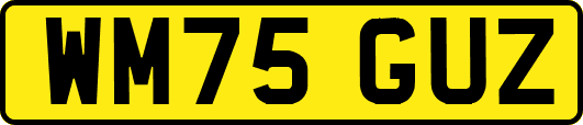 WM75GUZ