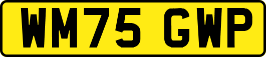 WM75GWP