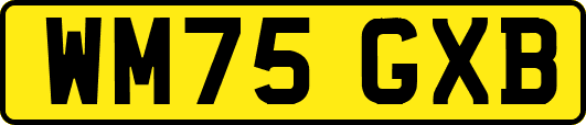 WM75GXB