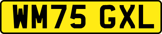 WM75GXL