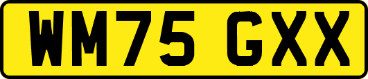 WM75GXX