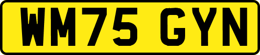WM75GYN