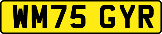 WM75GYR
