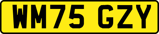 WM75GZY
