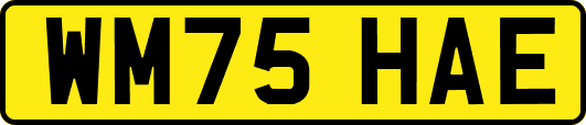 WM75HAE