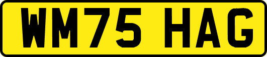 WM75HAG