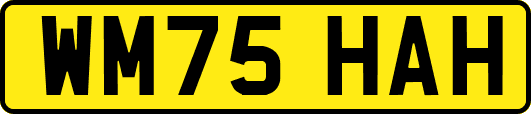WM75HAH