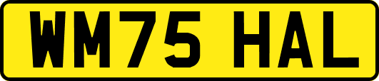 WM75HAL