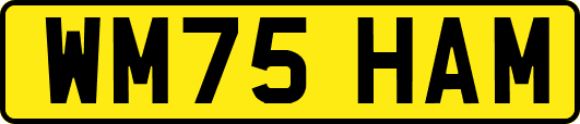 WM75HAM
