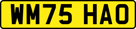WM75HAO