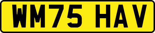 WM75HAV
