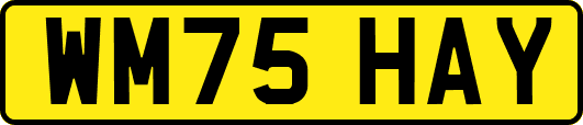 WM75HAY