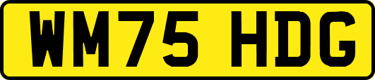 WM75HDG