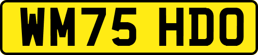 WM75HDO