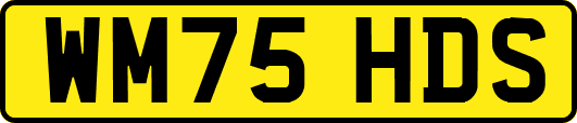 WM75HDS