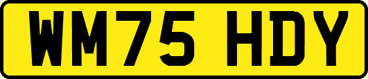 WM75HDY