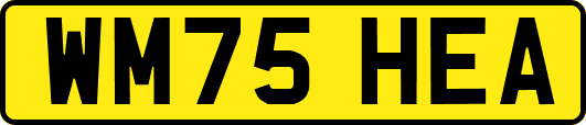 WM75HEA