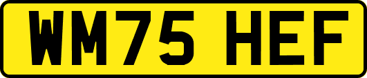 WM75HEF