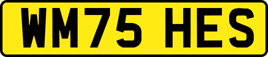 WM75HES