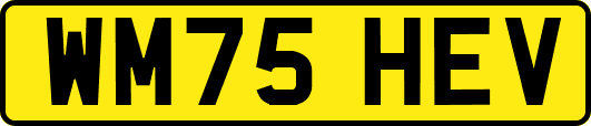 WM75HEV