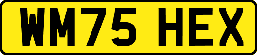 WM75HEX