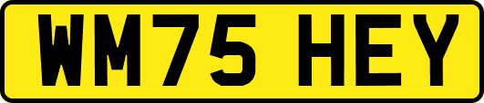 WM75HEY