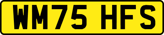 WM75HFS