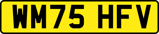 WM75HFV