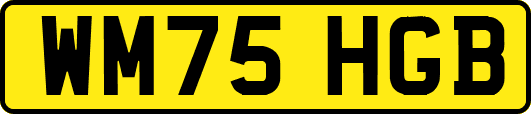 WM75HGB