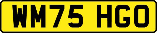 WM75HGO