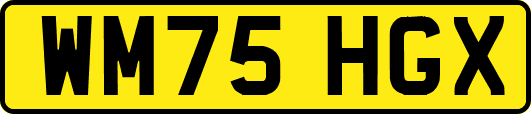 WM75HGX