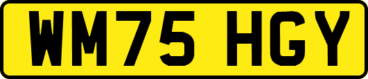 WM75HGY